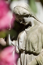 Aeußerer Plauener Friedhof - Dresden