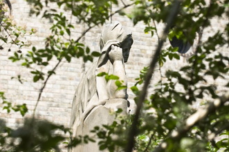20080615-DSC_8705