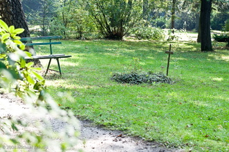 20080927-_DSC0522.jpg