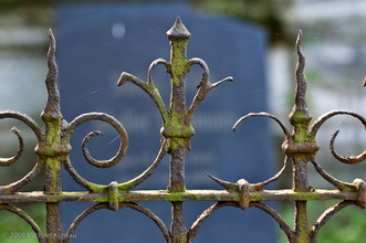 20080927-_DSC0610.jpg