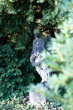 Alter Matthäusfriedhof - Dresden