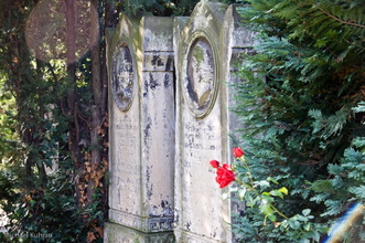 Alter katholischer Friedhof - Dresden