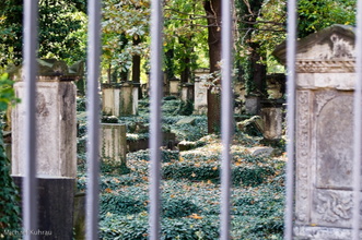 Eliasfriedhof Dresden