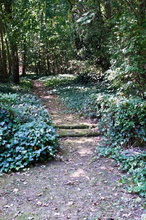 halle-4.jpg