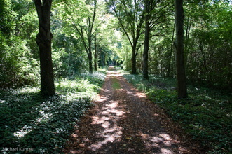 halle-6.jpg