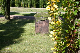 halle-13.jpg