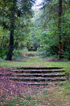 Ahrensfelde-1.jpg