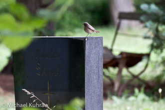 20100620-30.jpg