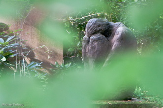 20100912-2.jpg