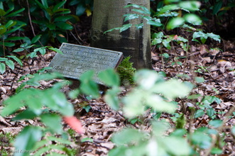 20100912-19.jpg