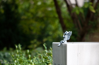 20100919-3.jpg