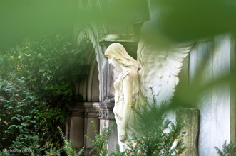 20100919-6.jpg