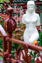 20100919-15.jpg