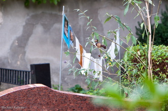 20100919-24.jpg