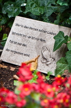 20100919-25.jpg