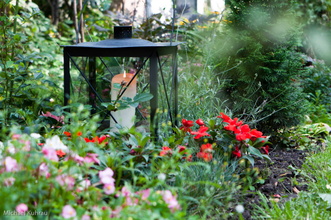 20100919-32.jpg