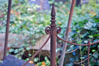 Oldenburg in Holstein