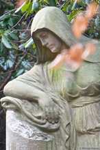 foto 2011-02-27 013