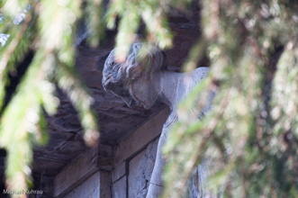 swkhstahnsdorf 2012 02 26-8