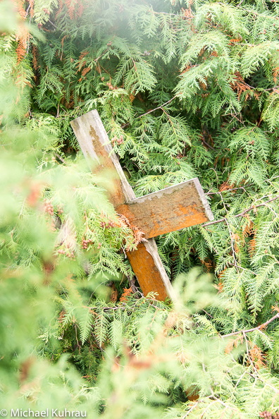 D60_7221.jpg