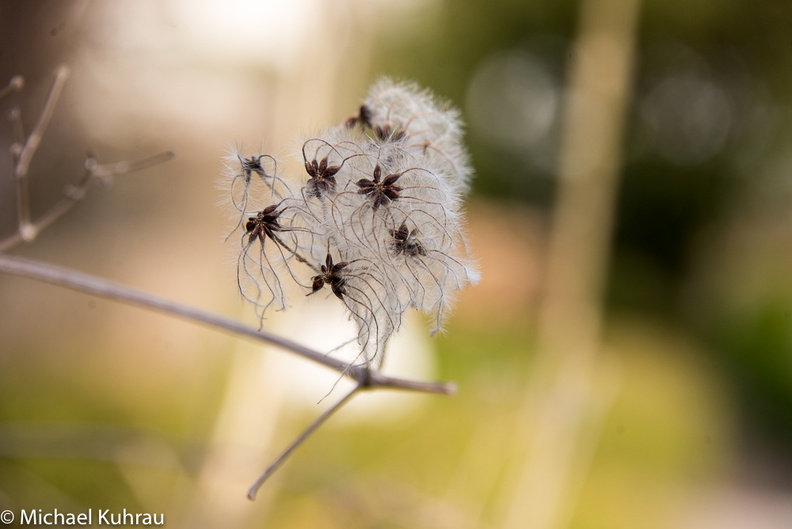 D60_7387.jpg